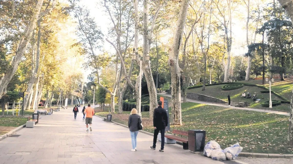 Son dakika! Gülhane ve Gezi Parkı’nda ağaç katliamı: Asırlık ağaçları böyle yok ediyorlar!